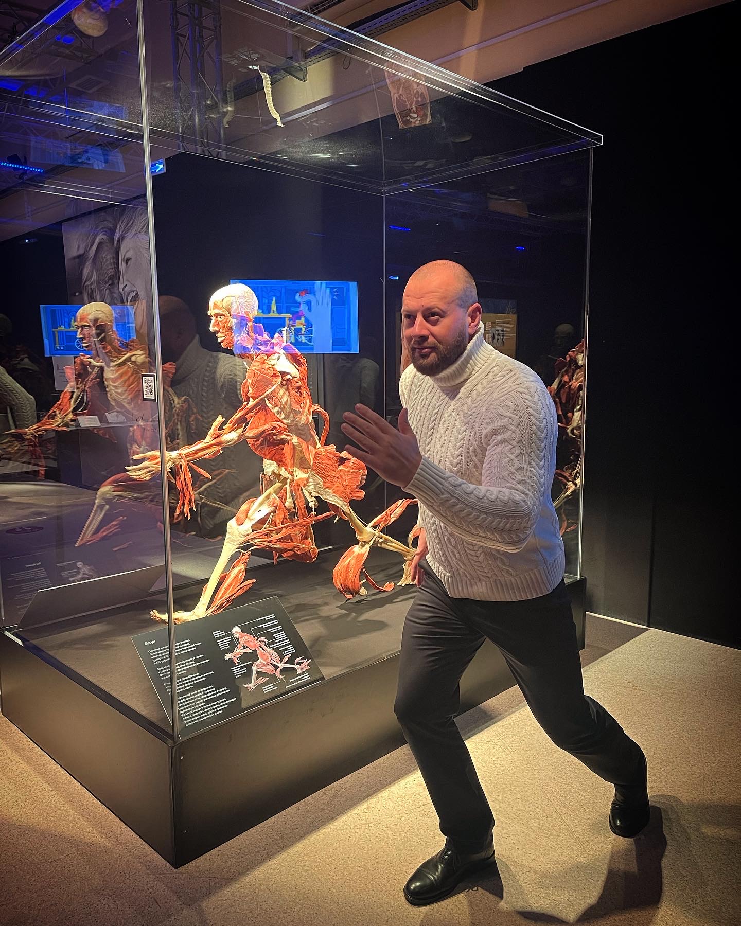 Выставка body worlds - Бодибилдинг форум AnabolicShops