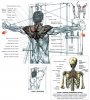 Кищробу  + Fatus + Сухарь - Бодибилдинг форум AnabolicShops