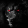 Lion23